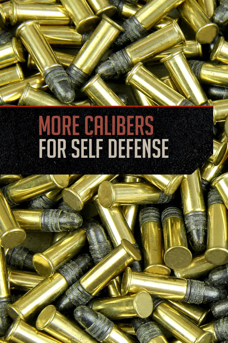 More Calibers for Self Defense by Gun Carrier at https://guncarriernews.wpengine.com/more-calibers-for-self-defense/