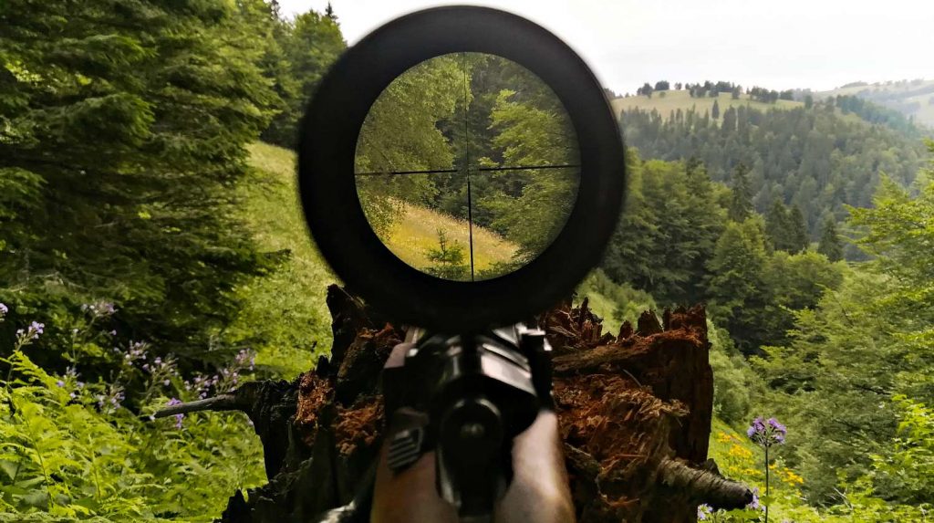 View through the scope from hunter's spot | Gun Scopes and Sights You Should Invest In | Featured