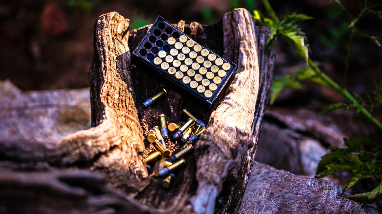 Feature | Ammo in wooden tree | The Curious Case of the Over-Penetrating Round