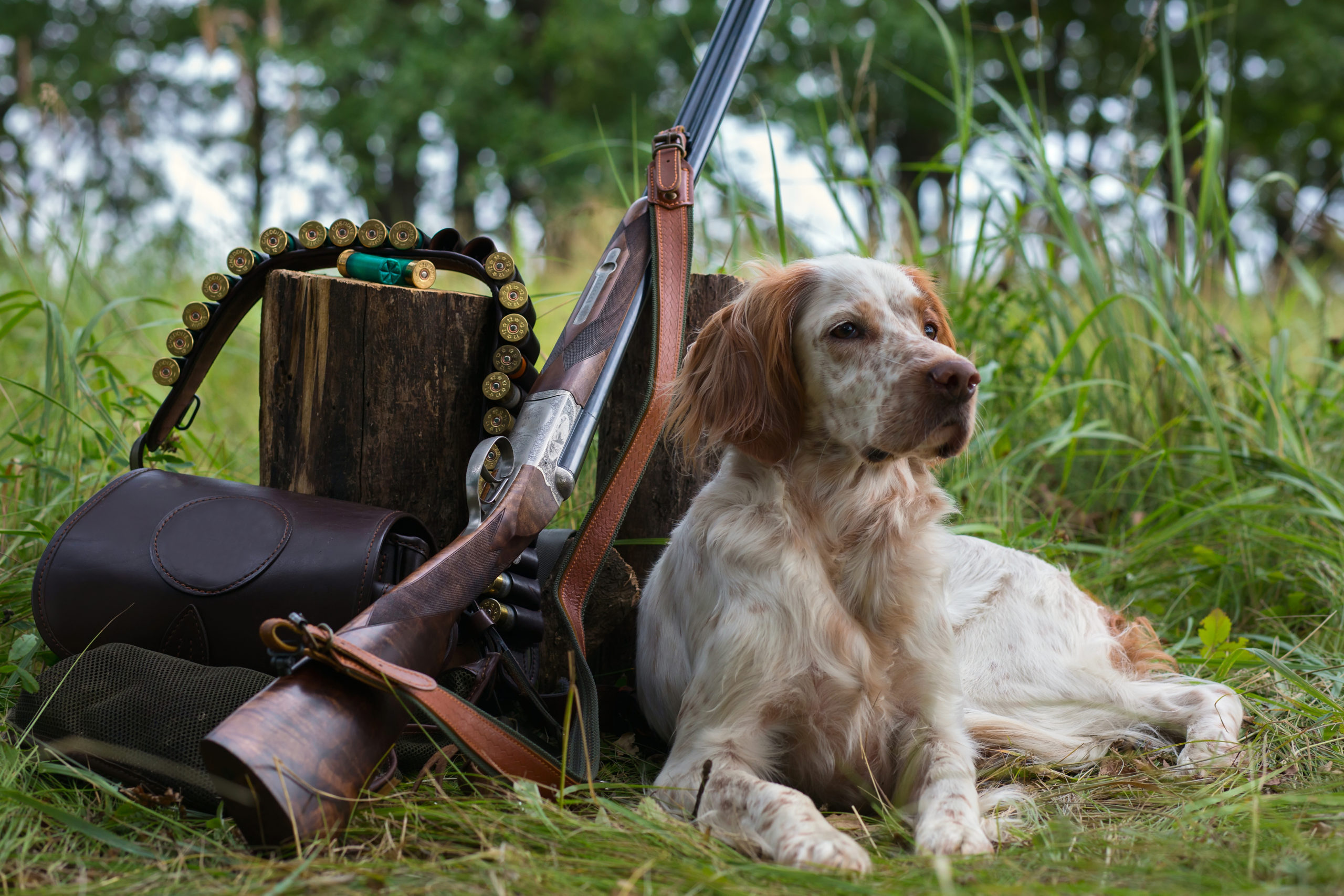 Everything You Need in Your Hunting Bag this Season