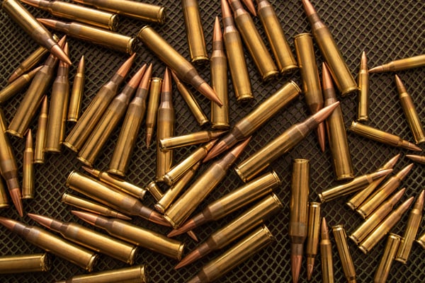 blame-the-bullet