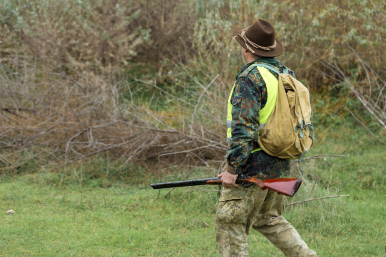 Fall Hunting