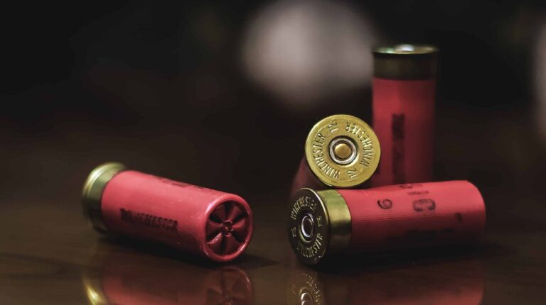 Feature | In The Aftermath of the Florida School Shooting