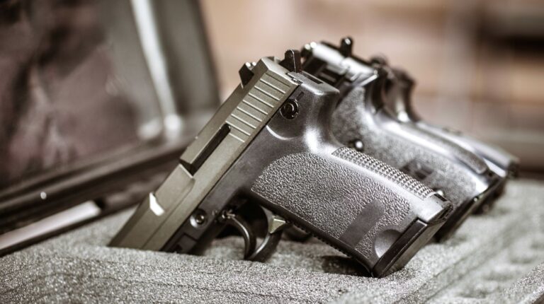 Feature | Three gun in the storage case | Hidden Gun Storage Ideas