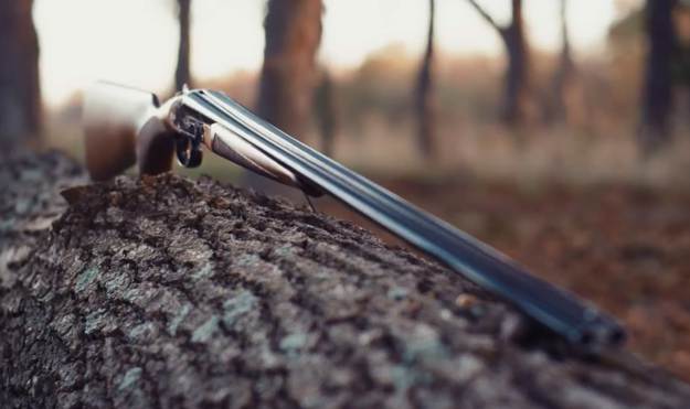 Pros and Cons | CZ Sharp-Tail | Gun Carrier Shotgun Reviews