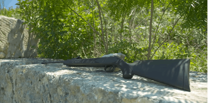 girandoni air rifle