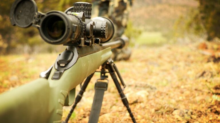 Feature | How to Choose Guns and Ammo