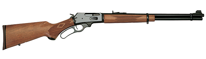 brush gun