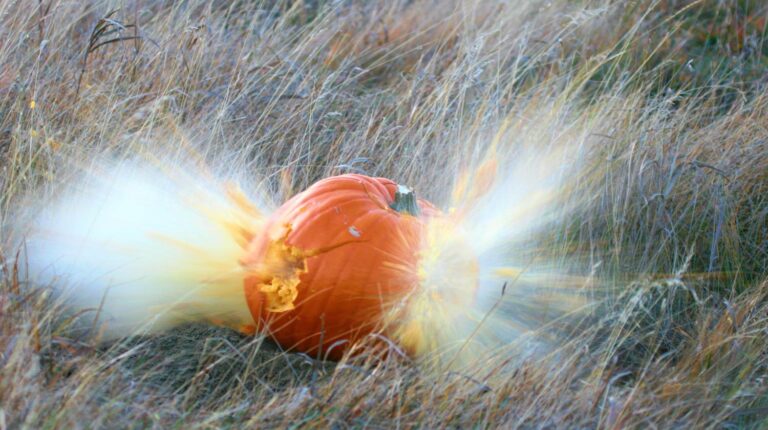 Featured | Pumpkin shot with shotgun | Lady Carves Pumpkin With Glock 19 [Video]