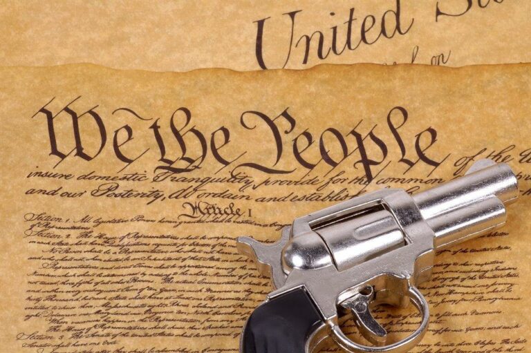 vote for the gun