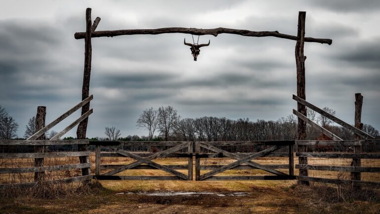 Texas and 2nd amendment