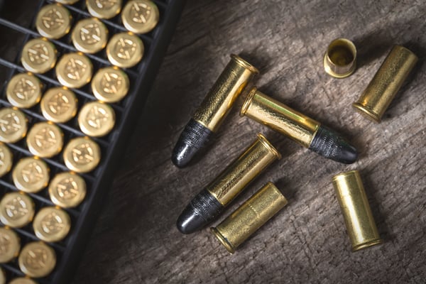 which-of-the-three-calibers-will-get-the-job-done