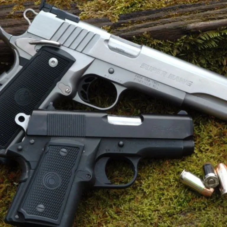9mm vs .45 ACP