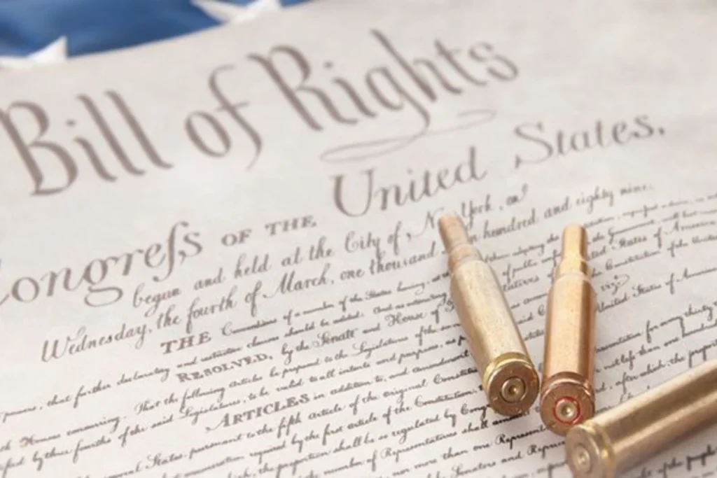 State Firearm Laws